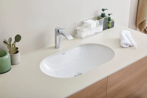 Ảnh Chậu rửa âm bàn Hansgrohe 22429007 2