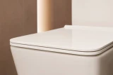 Bồn cầu 1 khối Hansgrohe 22434007/22436007 4