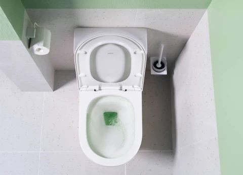 Ảnh Bồn cầu 1 khối Hansgrohe 22466007/22468007 3