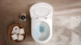 Bồn cầu 1 khối Hansgrohe 22431007/22433007 3
