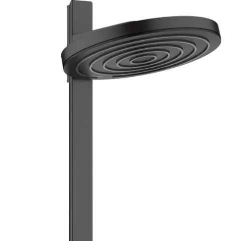 Ảnh Sen tắm cây Hansgrohe 24240670 4