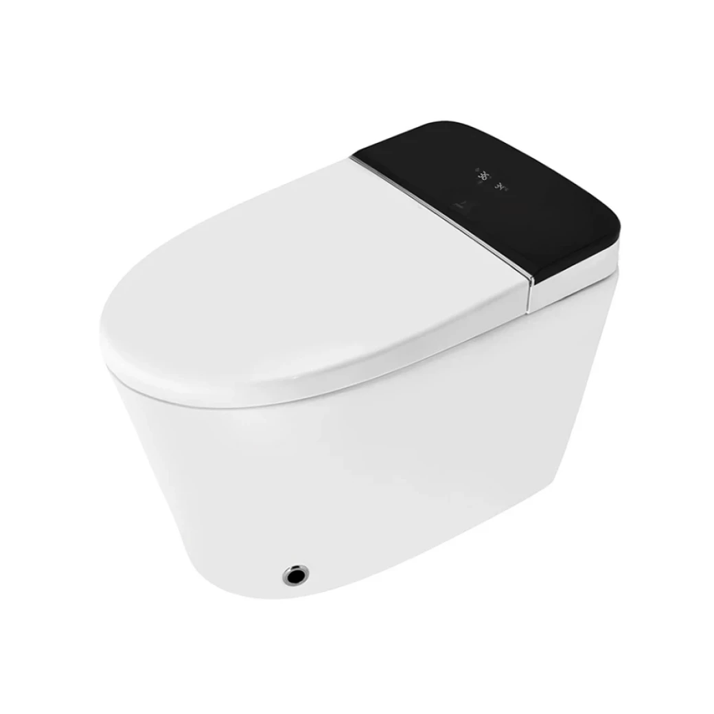 bon-cau-thong-minh-jaquar-its-wht-89853s300pppmat