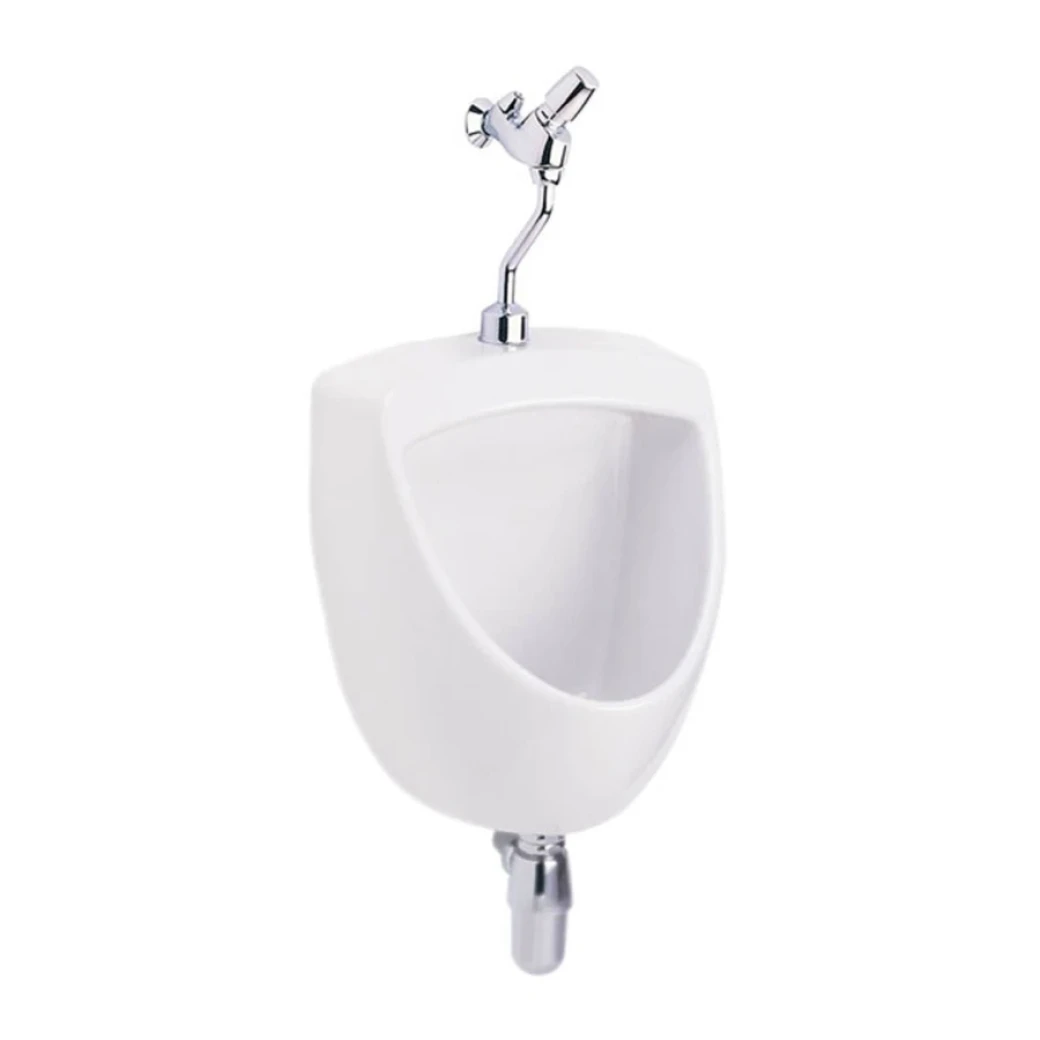 bon-tieu-nam-cotto-c3080