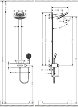 Sen tắm cây Hansgrohe 24240000 2