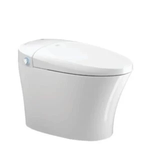 bon-cau-thong-minh-densta-ds-ta-822-df