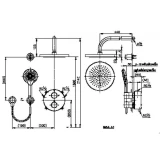 Sen tắm âm tường COTTO CPF301H1H2#BN2 2
