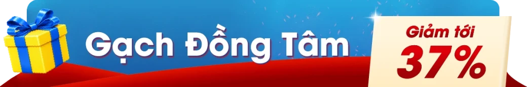 Gạch ốp lát Đồng Tâm