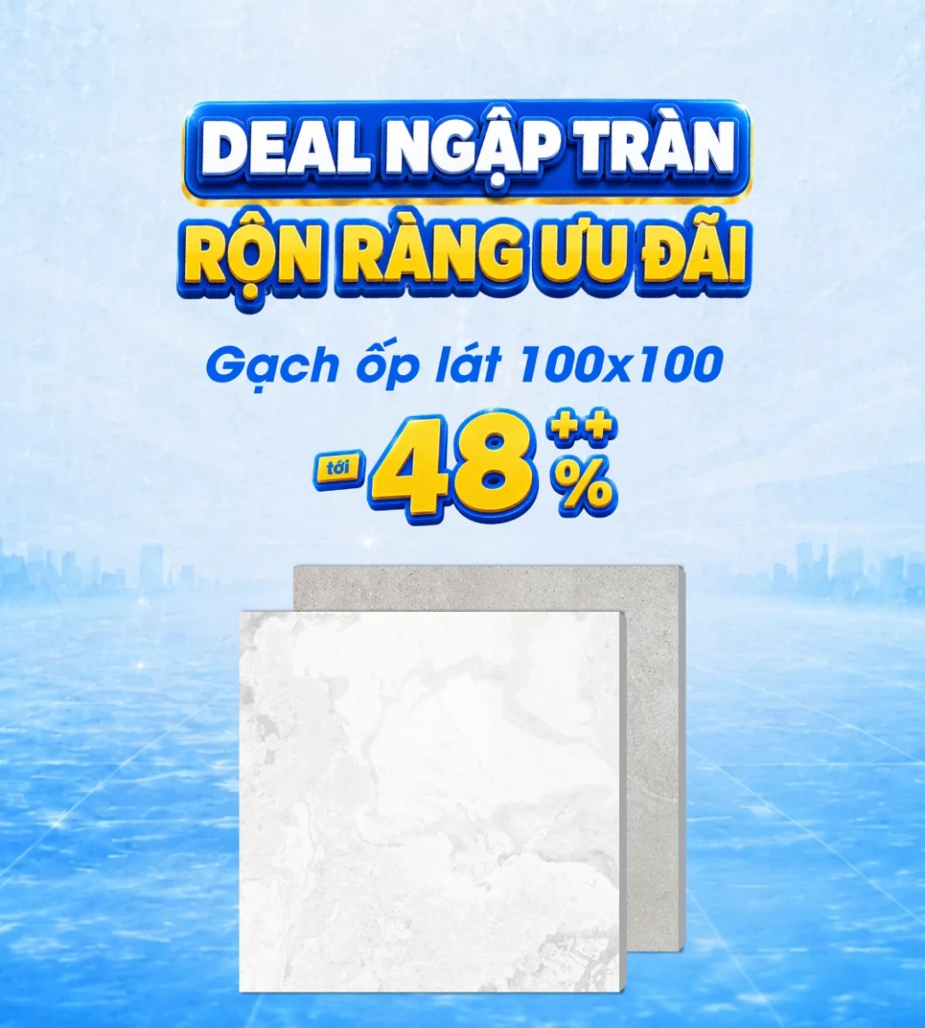 Gạch ốp lát 100x100