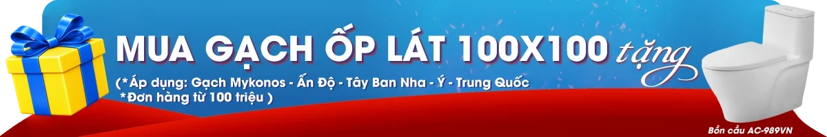 Gạch ốp lát 100x100