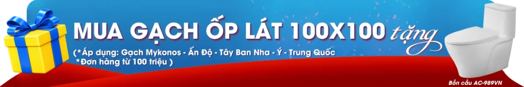 Gạch ốp lát 100x100