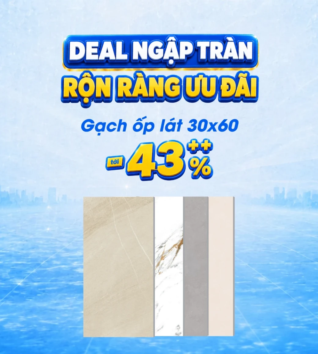 Gạch ốp lát 30x60