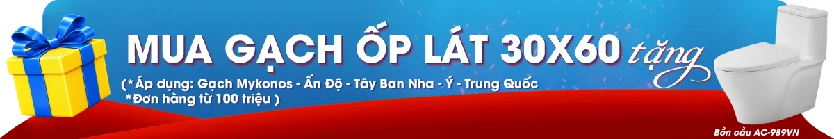 Gạch ốp lát 30x60