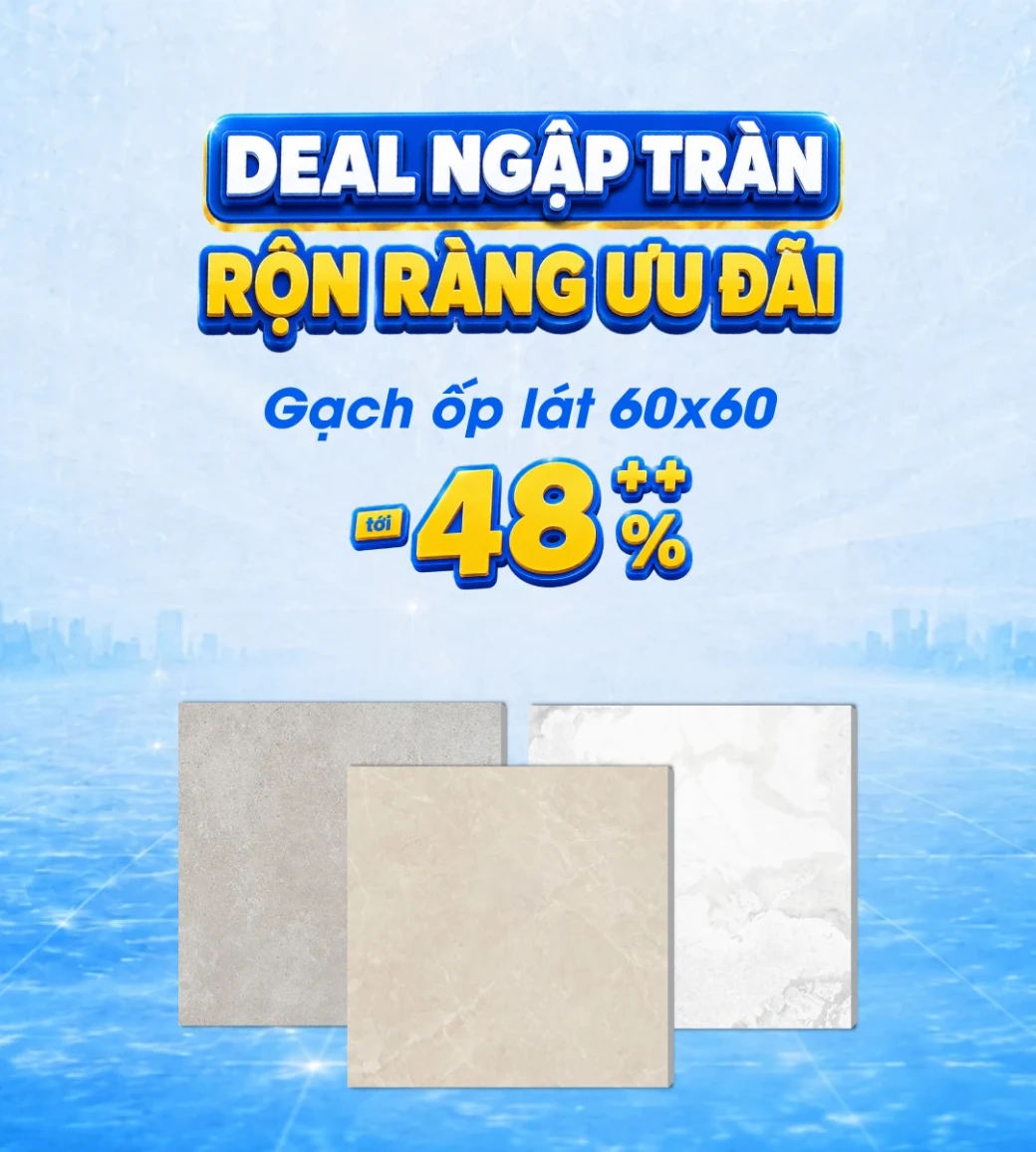 Gạch ốp lát 60x60
