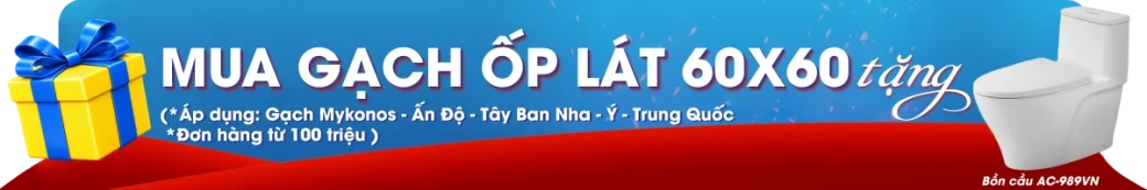 Gạch ốp lát 60x60