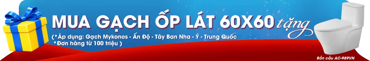 Gạch ốp lát 60x60