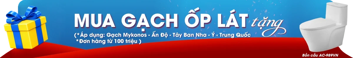 Gạch ốp lát 20x120