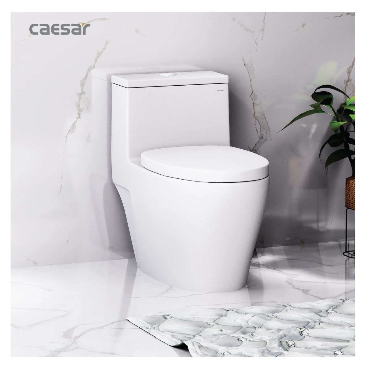 Ảnh Bồn cầu thông minh Caesar C1356F + TAF060 3