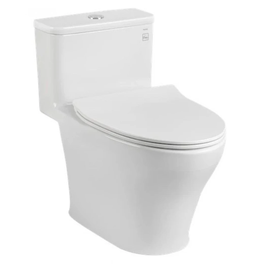 bon cau toto ms857dt8 1090x1090