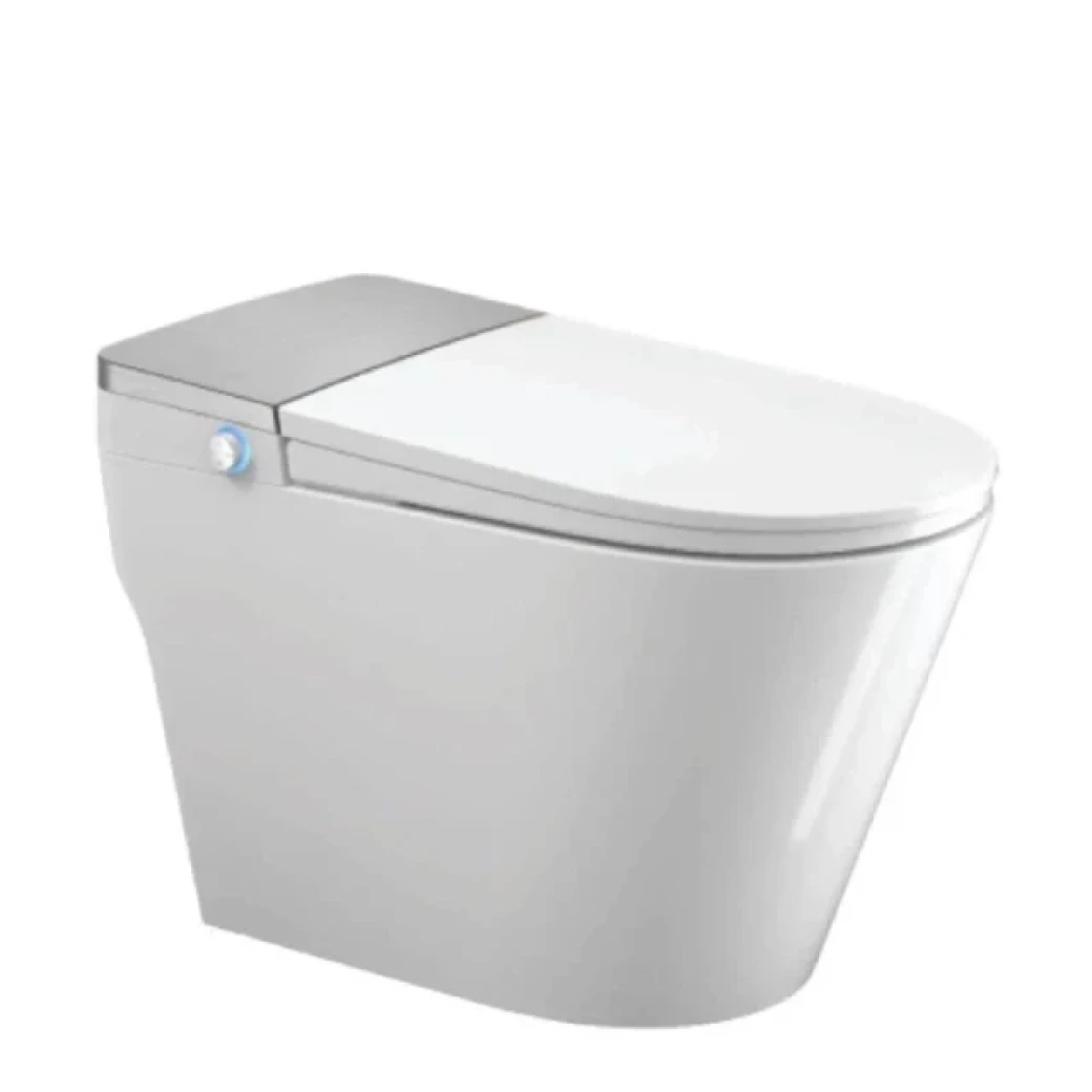 bon-cau-thong-minh-densta-ds-ta-960-df
