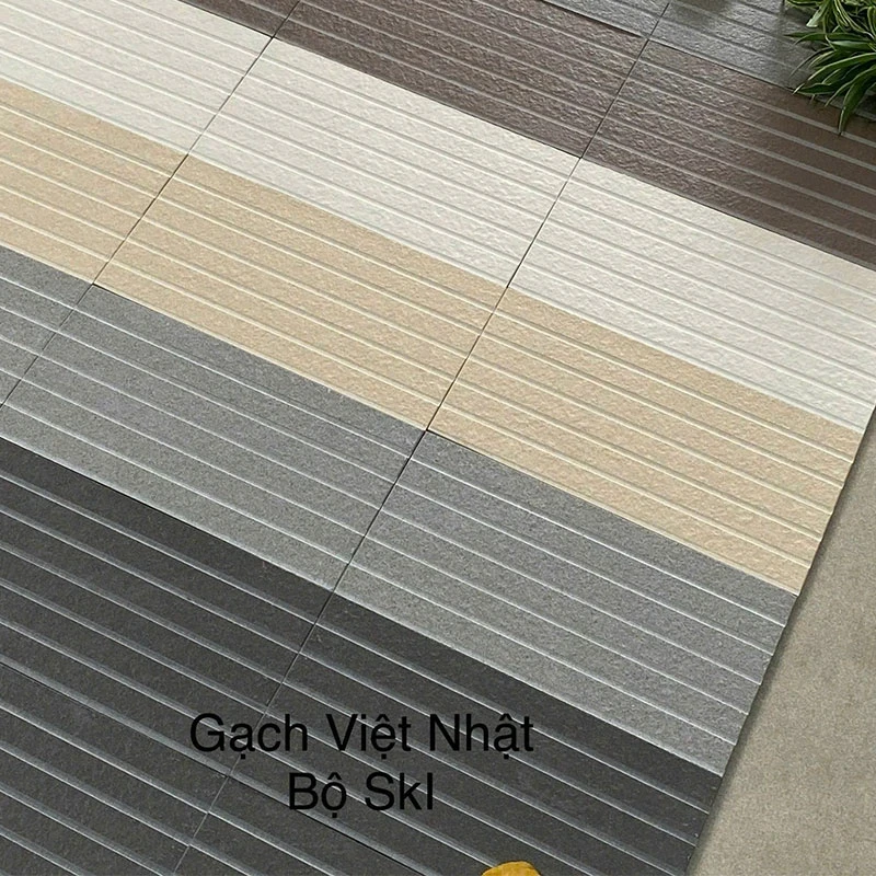 Ảnh Gạch thẻ Việt Nhật VIETNHAT-SKI 2