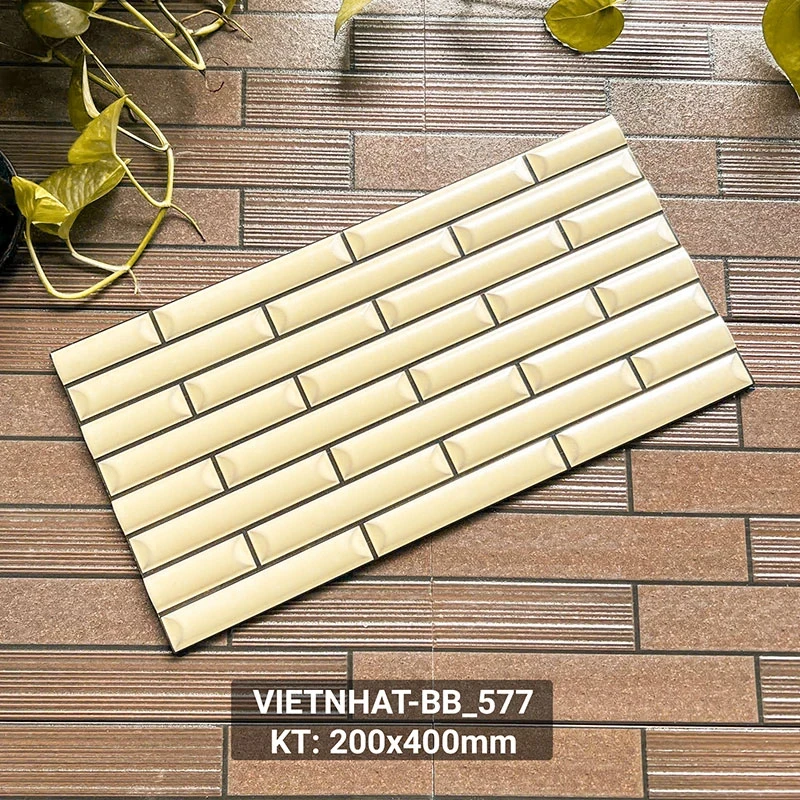 Ảnh Gạch thẻ Việt Nhật VIETNHAT-VN_BB 2
