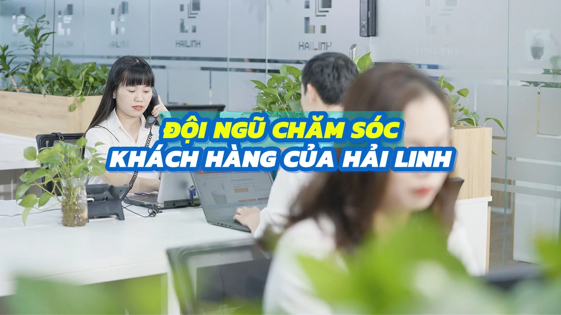 Hải Linh - Đồng Hành Cùng Khách Hàng Suốt 20 Năm: Cam Kết Dịch Vụ Chăm Sóc & Bảo Hành