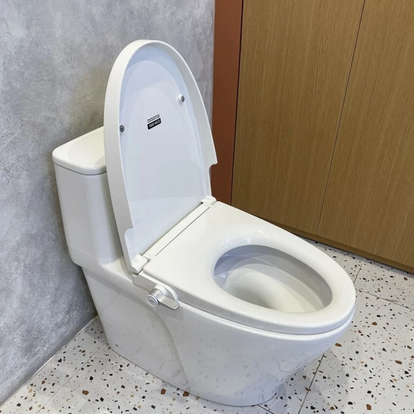 anh thuc te bon cau inax ac 989c