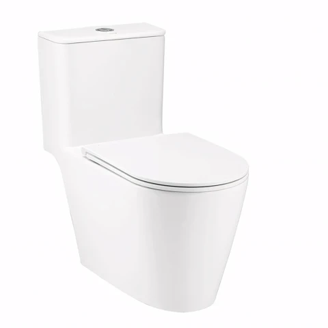 Ảnh Combo thiết bị vệ sinh Cotto 18 2