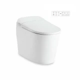 Bồn cầu thông minh American Standard WP-70DY 1