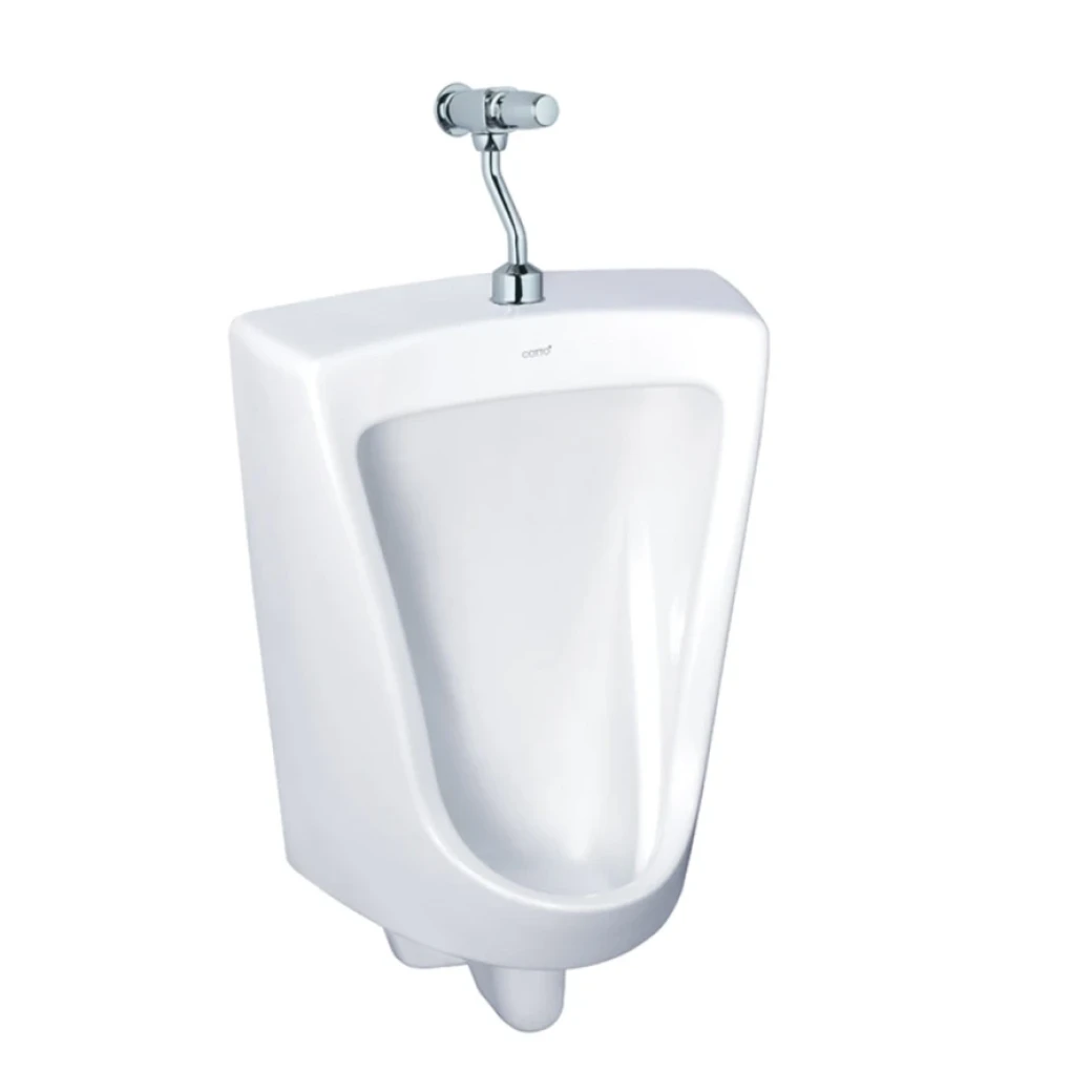 bon-tieu-nam-cotto-c3010