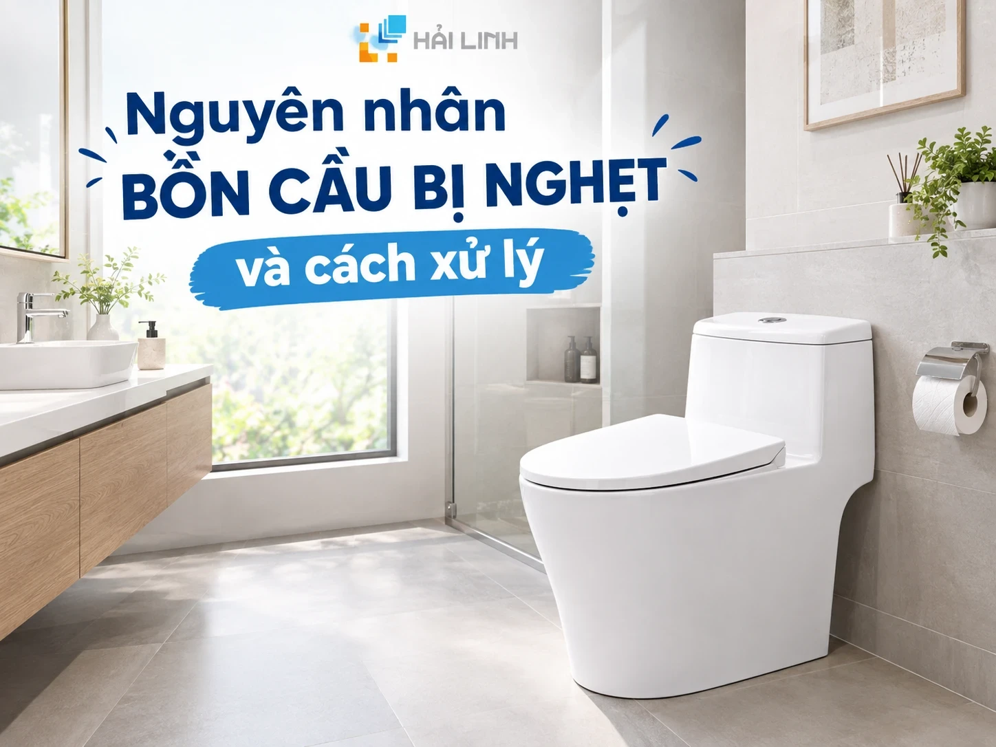 Nguyên nhân bồn cầu bị nghẹt và cách xử lý