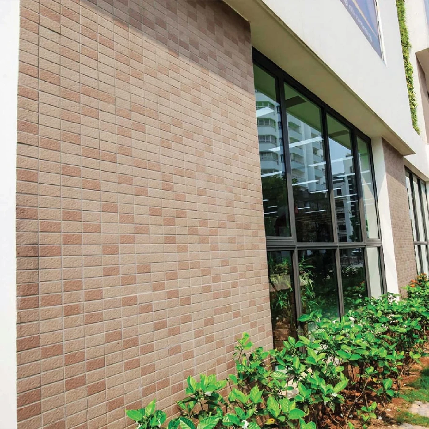 phoi canh gach inax 255 viz 10