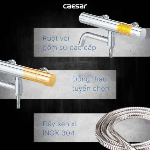 Ảnh Sen tắm nhiệt độ Caesar TS620 3