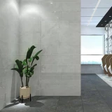 Gạch Đồng Tâm 3060CLOUD006 4