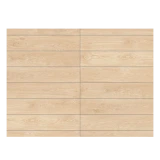 Gạch Đồng Tâm 20120BANYAN004 2
