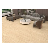 Gạch Đồng Tâm 20120BANYAN004 3