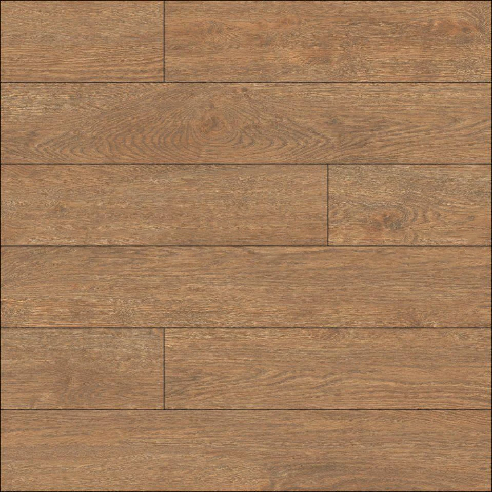Gạch Đồng Tâm 20120BANYAN005