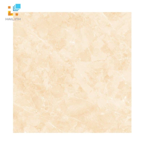 Ảnh Gạch Viglacera TB-808 1
