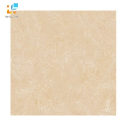 Ảnh Gạch lát nền Viglacera B6005 1