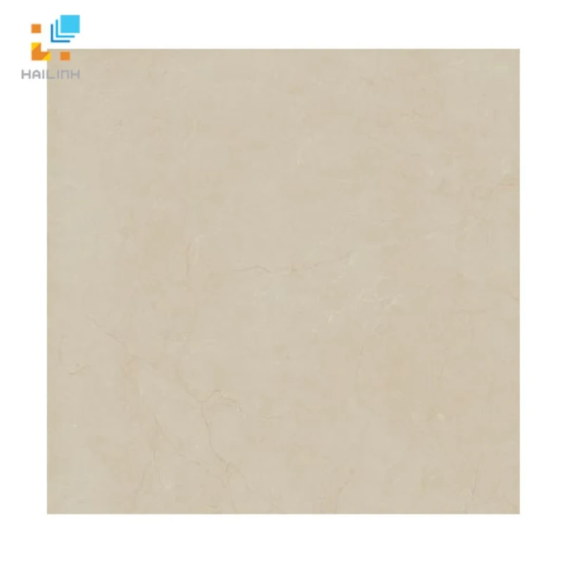 Gạch lát nền Viglacera B6009