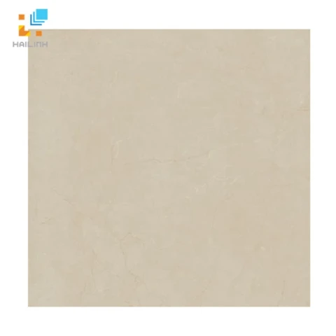 Ảnh Gạch lát nền Viglacera B6009 1