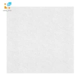 Gạch lát nền Viglacera BS 6605 1