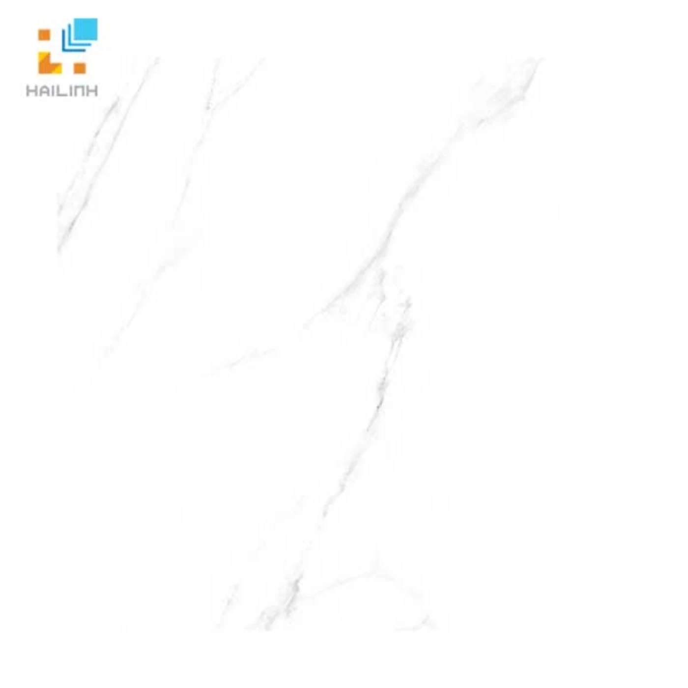 gach lat nen viglacera eco s601