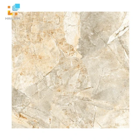 Gạch Viglacera H502