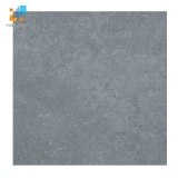 Gạch lát nền Viglacera PT 20-603 1