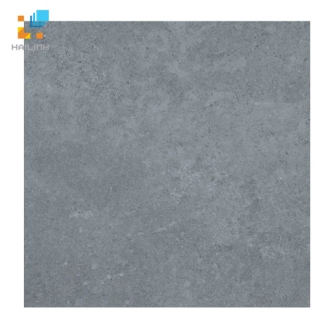 Ảnh Gạch lát nền Viglacera PT 20-603 1