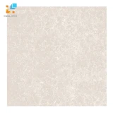 Gạch lát nền Viglacera TS2 617 1
