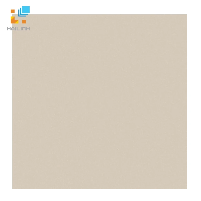 Gạch lát nền Viglacera TS5 601