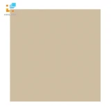 Gạch Viglacera TS5 802 1