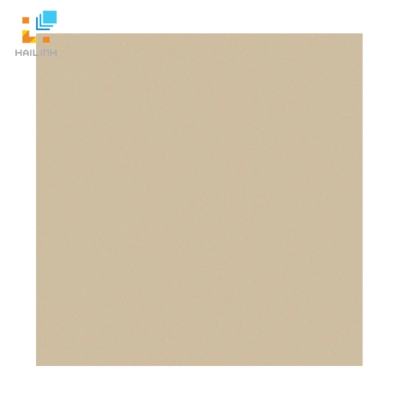 Gạch Viglacera TS5 802